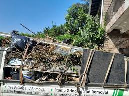 Best Dumpster Rental Services  in Durham, CA